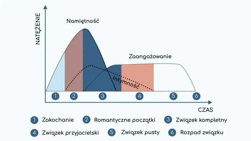 Wykres przedstawia etapy związku: od zauroczenia, przez romantyczne początki, aż po związek kompletny, przyjacielski, pusty i rozpad.